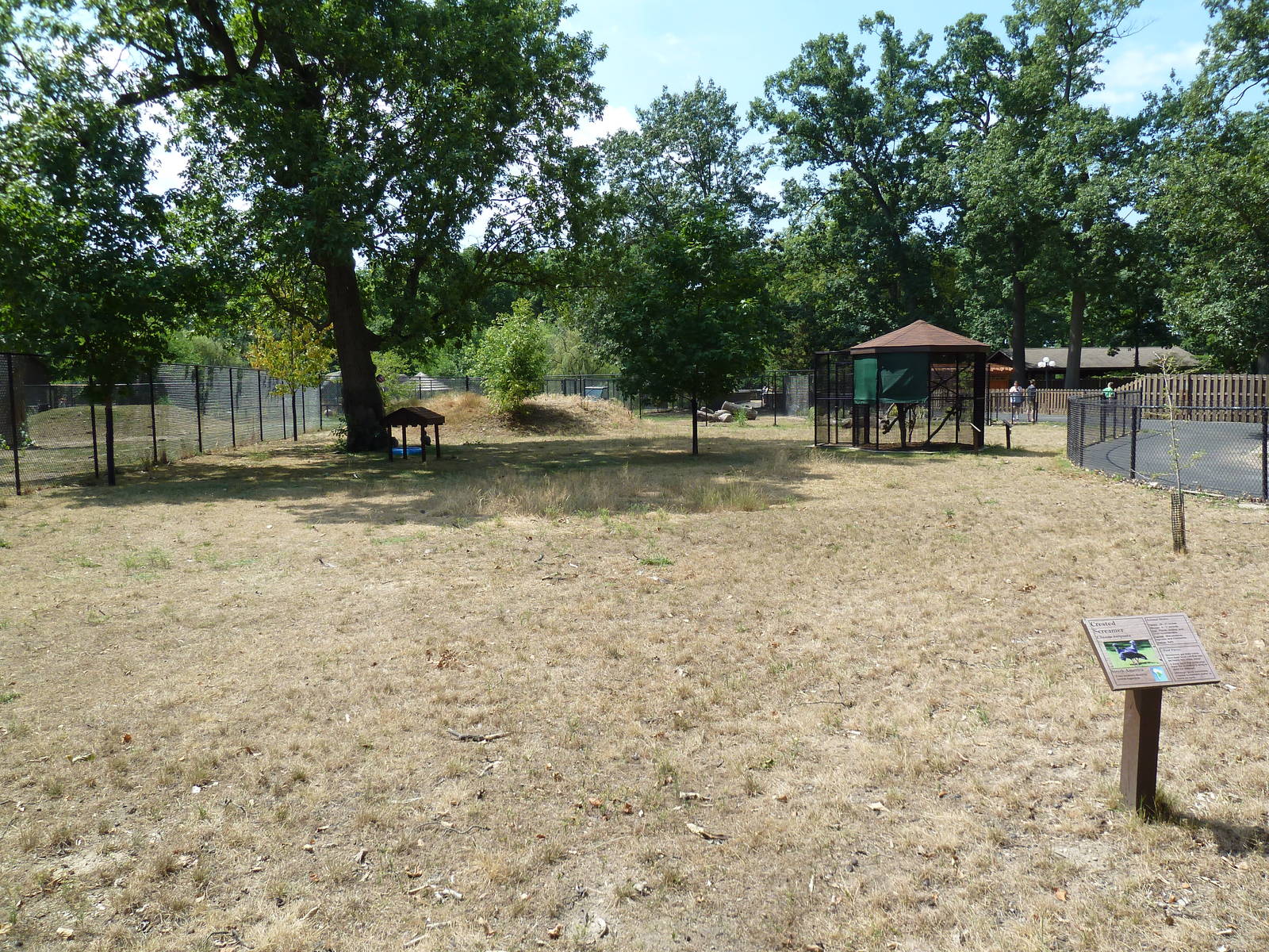Crested Screamer Exhibit