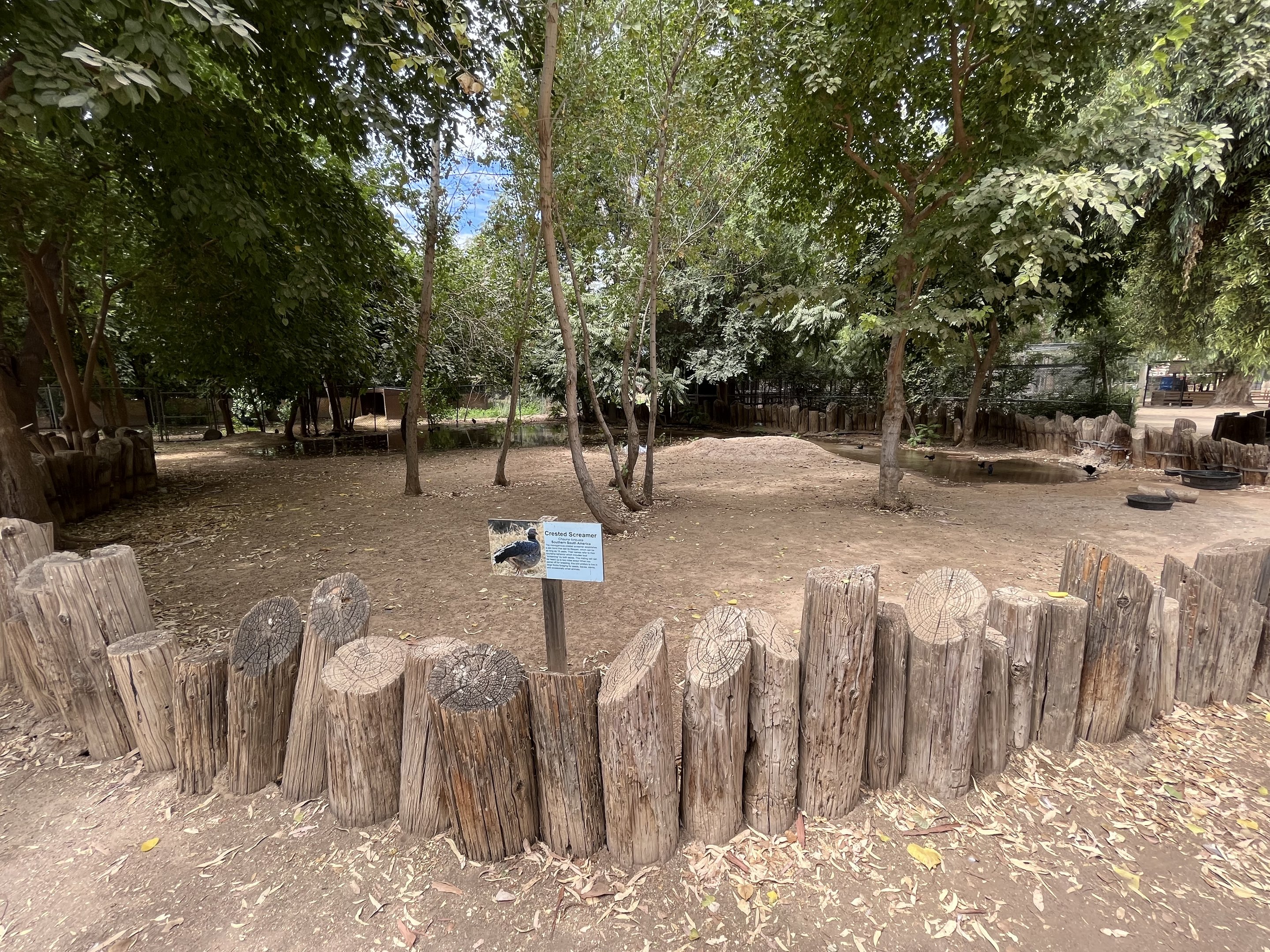 Crested Screamer Exhibit