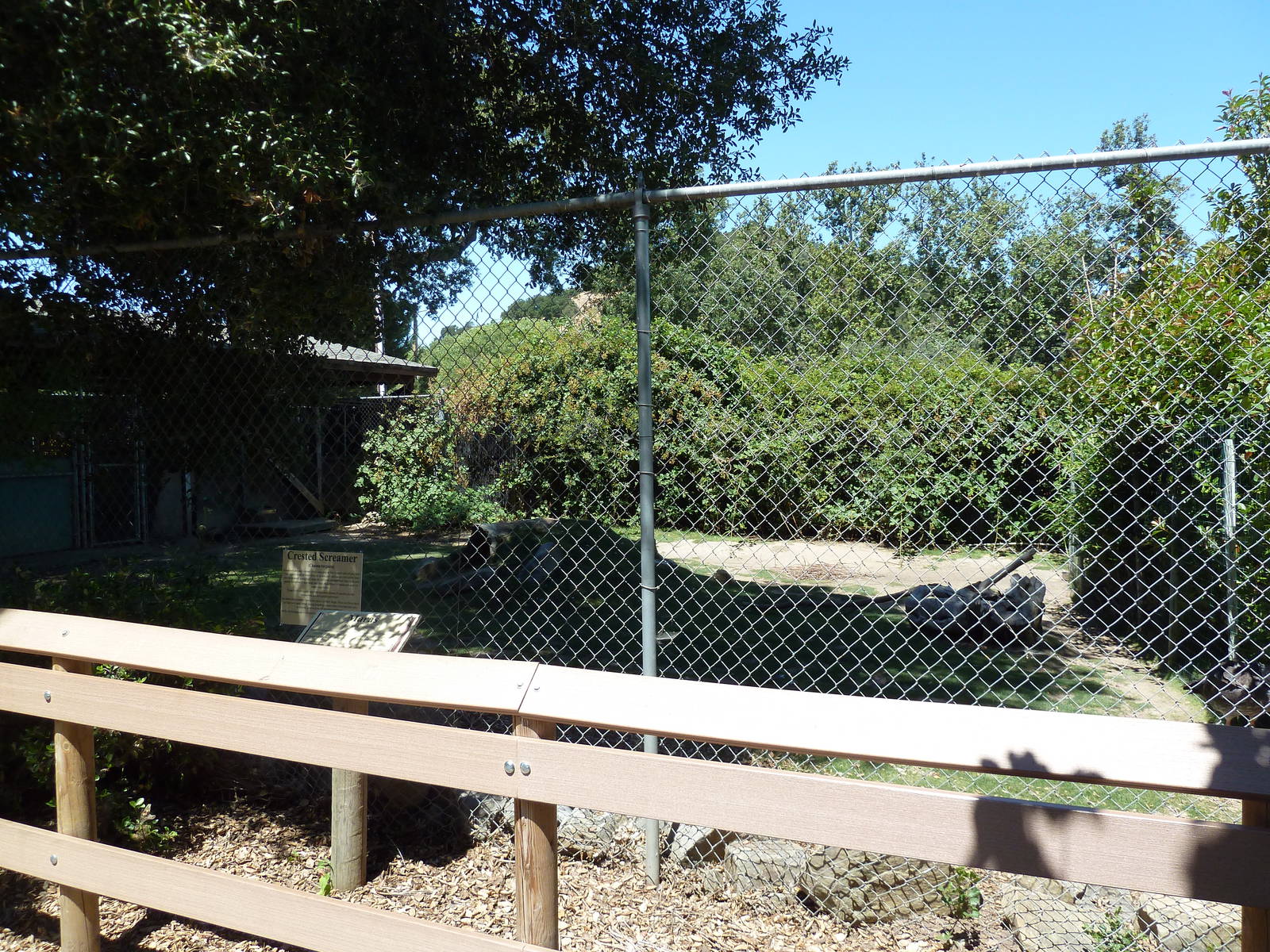 Crested Screamer/Mara Exhibit