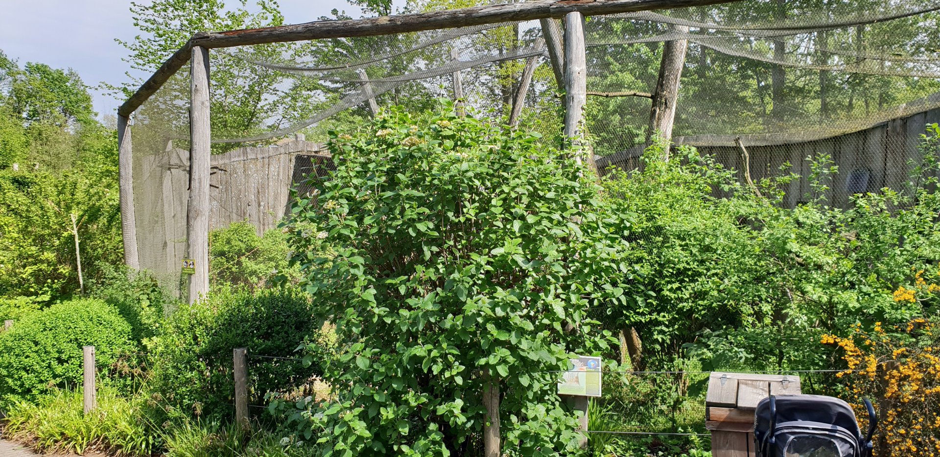 Crested seriema aviary