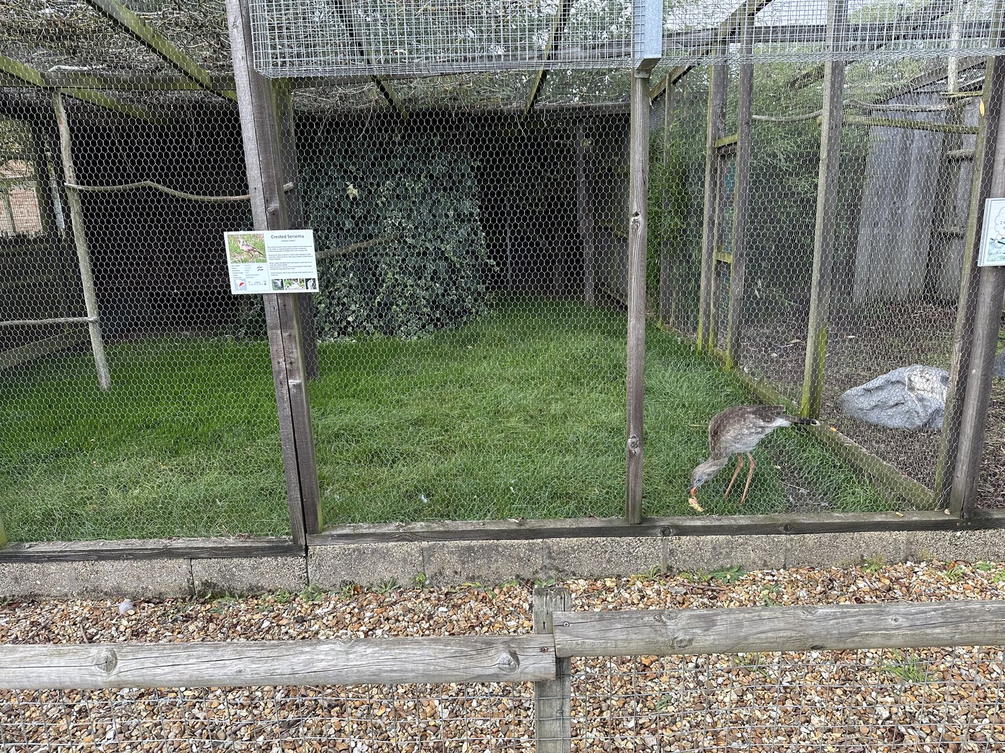 Crested Seriema Enclosure at Hamerton Zoo Park (October 2023)