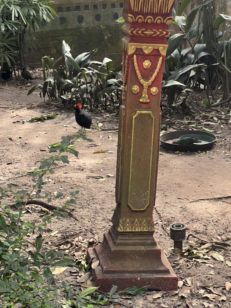 Crested Wood Partridges