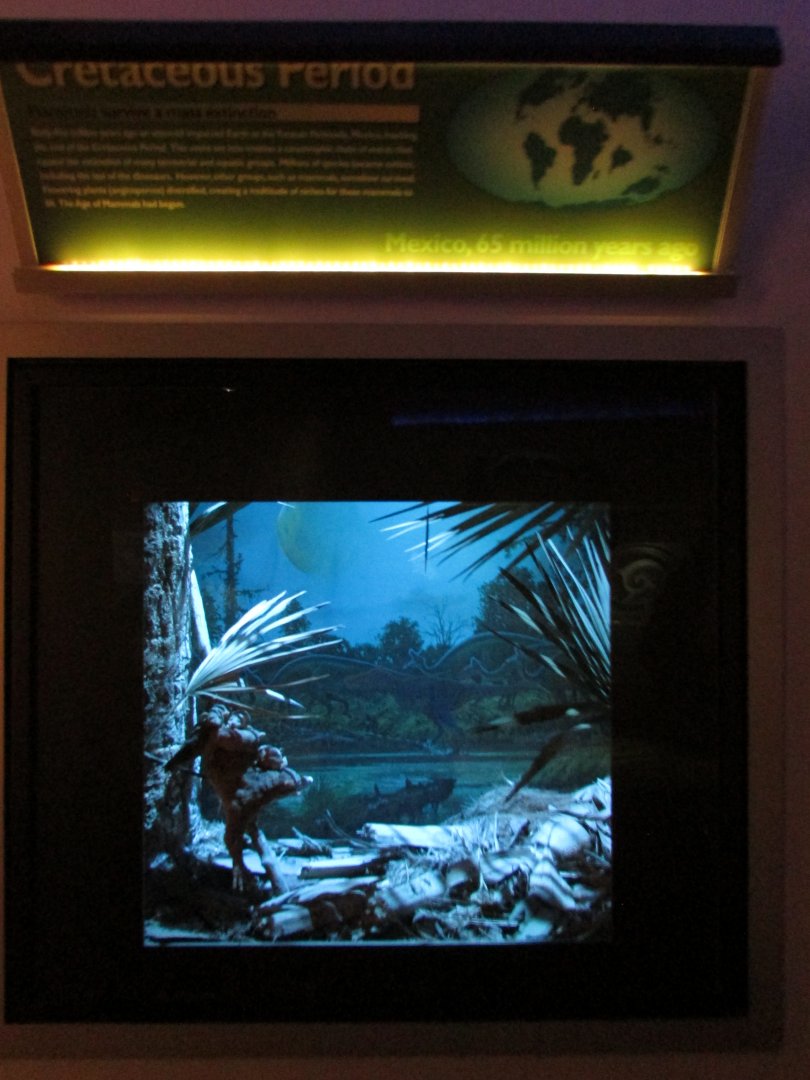 Cretaceous Period Diorama