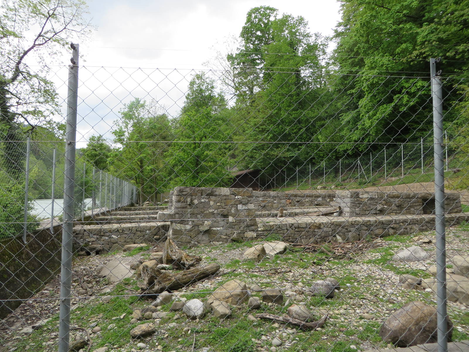 Cretan wild goat enclosure