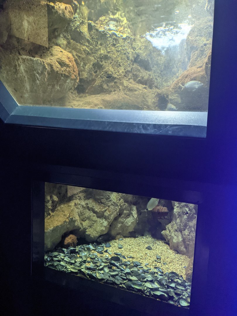 CRETAquarium- Tank example