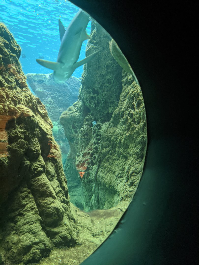 CRETAquarium- View into main tank