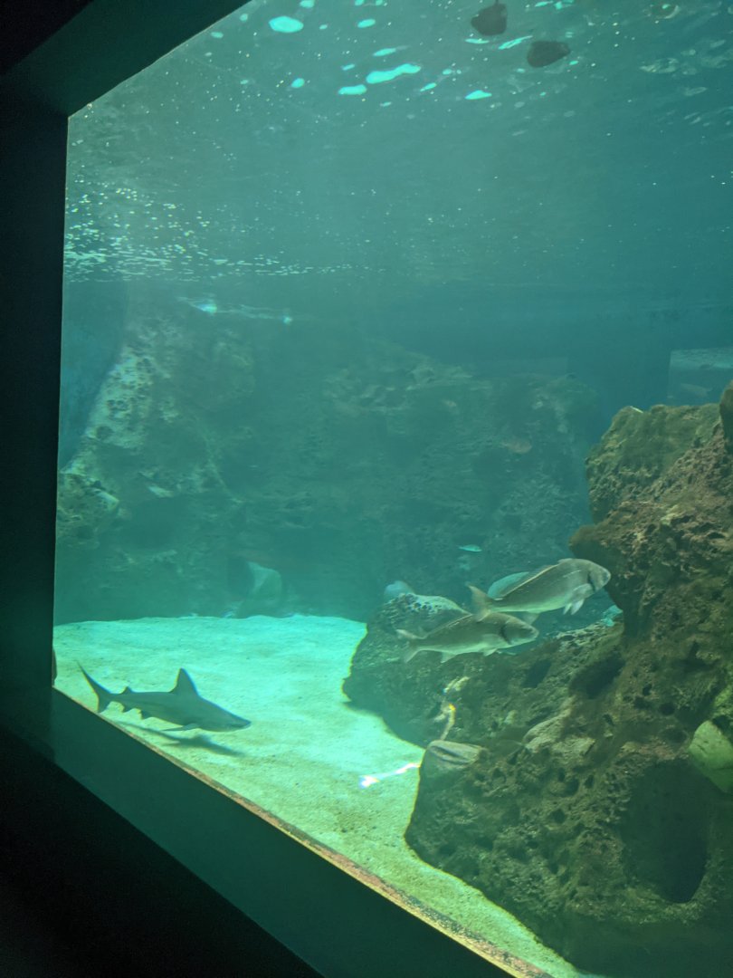 CRETAquarium- View into main tank