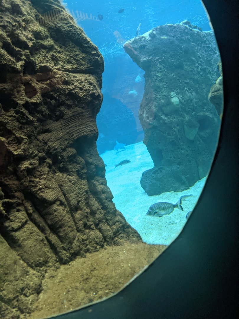CRETAquarium- View into main tank