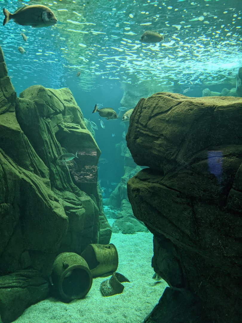 CRETAquarium- View into second-largest tank
