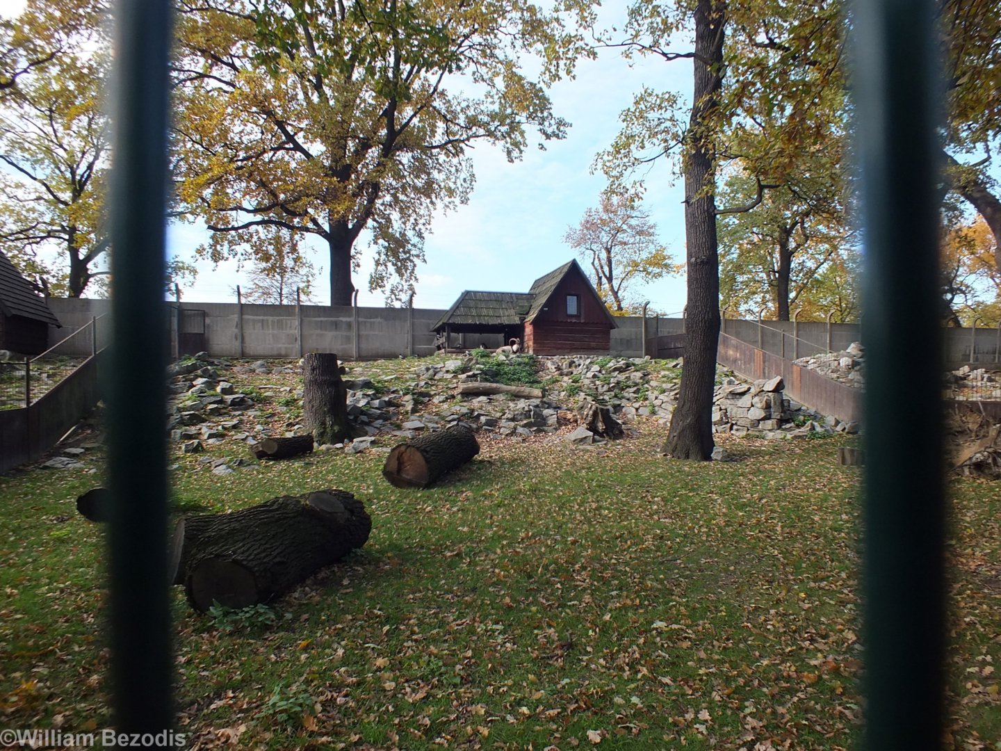 Cretian Wild Goat Enclosure
