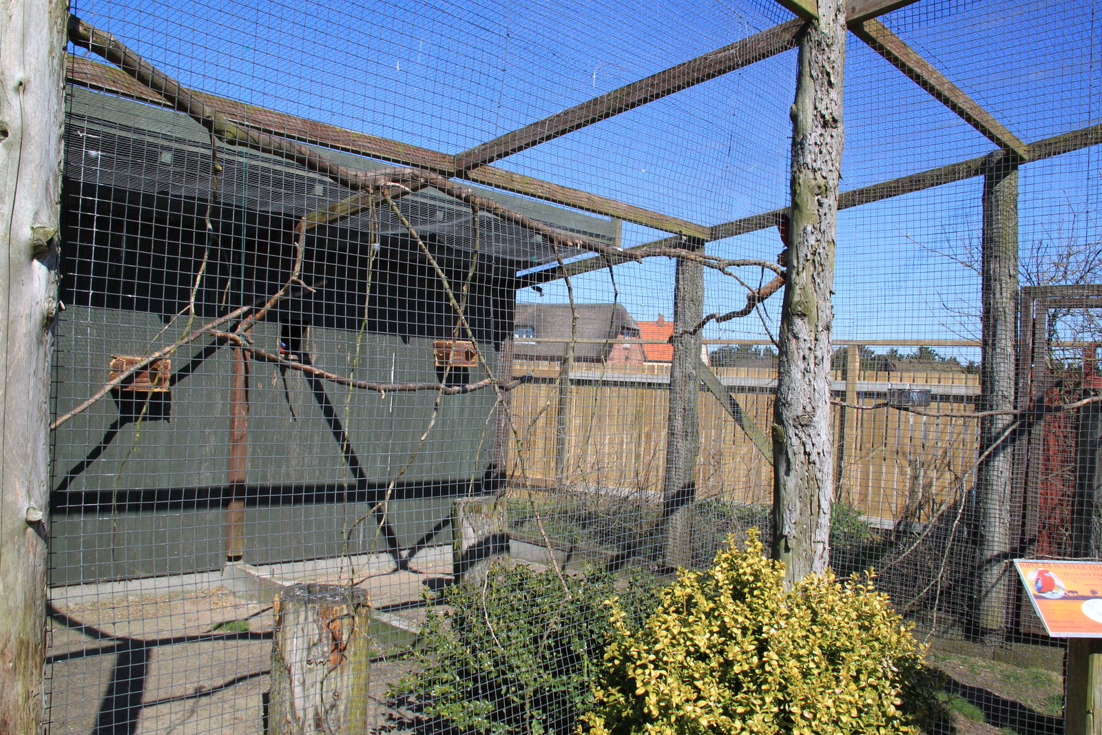 Crimson Rosella Aviary