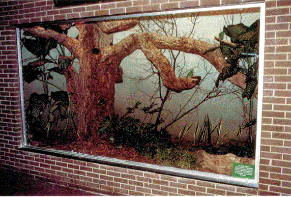 Crimson Seedcracker Exhibit 1980