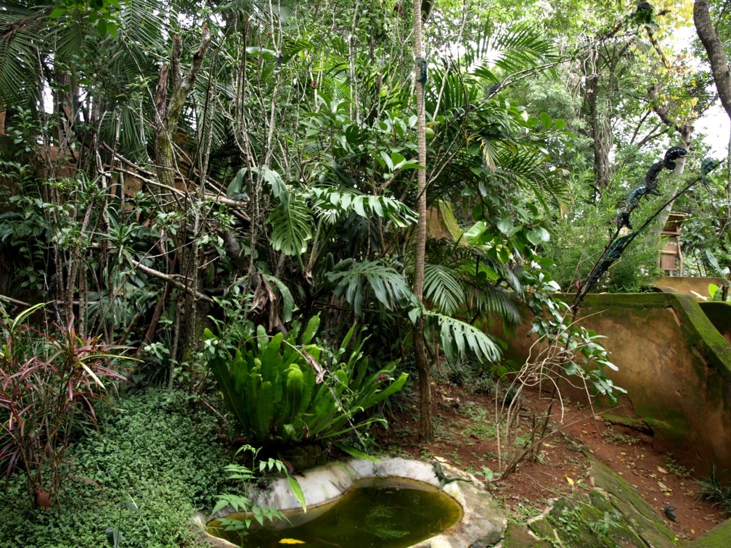 Croc Farm - Chameleon exhibit