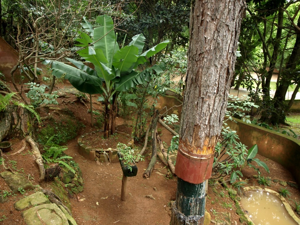 Croc Farm - Chameleon exhibit