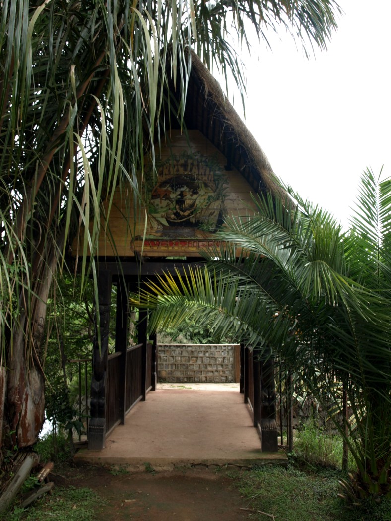 Croc Farm - Crocodile Adventure Walk