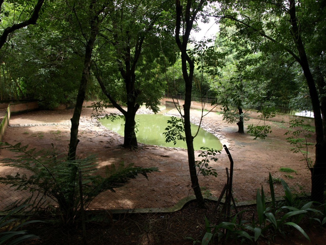 Croc Farm - Crocodile enclosure