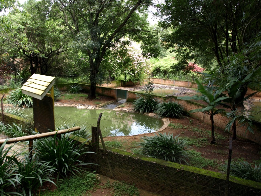 Croc Farm - Crocodile enclosure