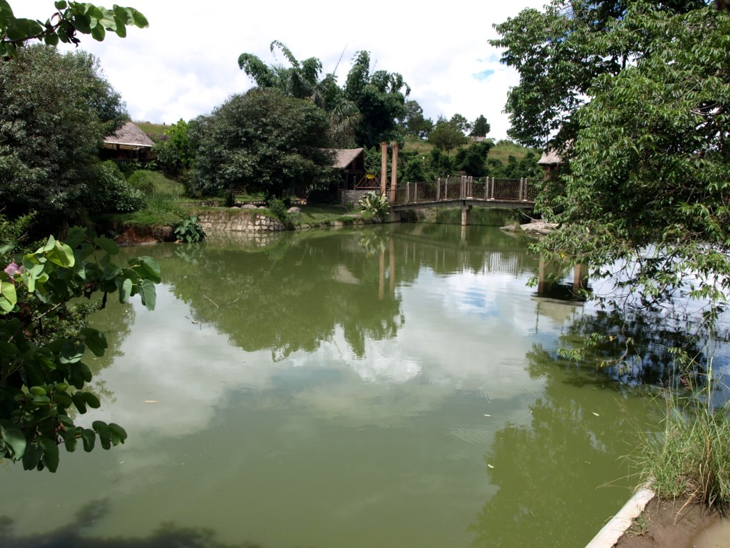 Croc Farm - Crocodile Lake
