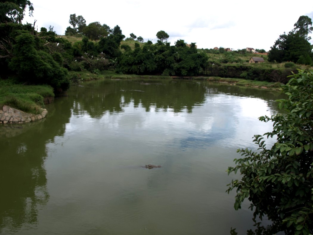 Croc Farm - Crocodile Lake