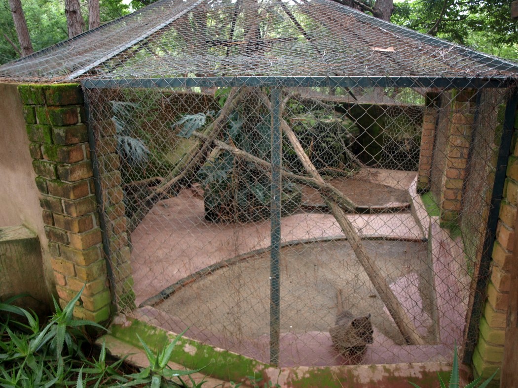 Croc Farm - Fossa exhibit