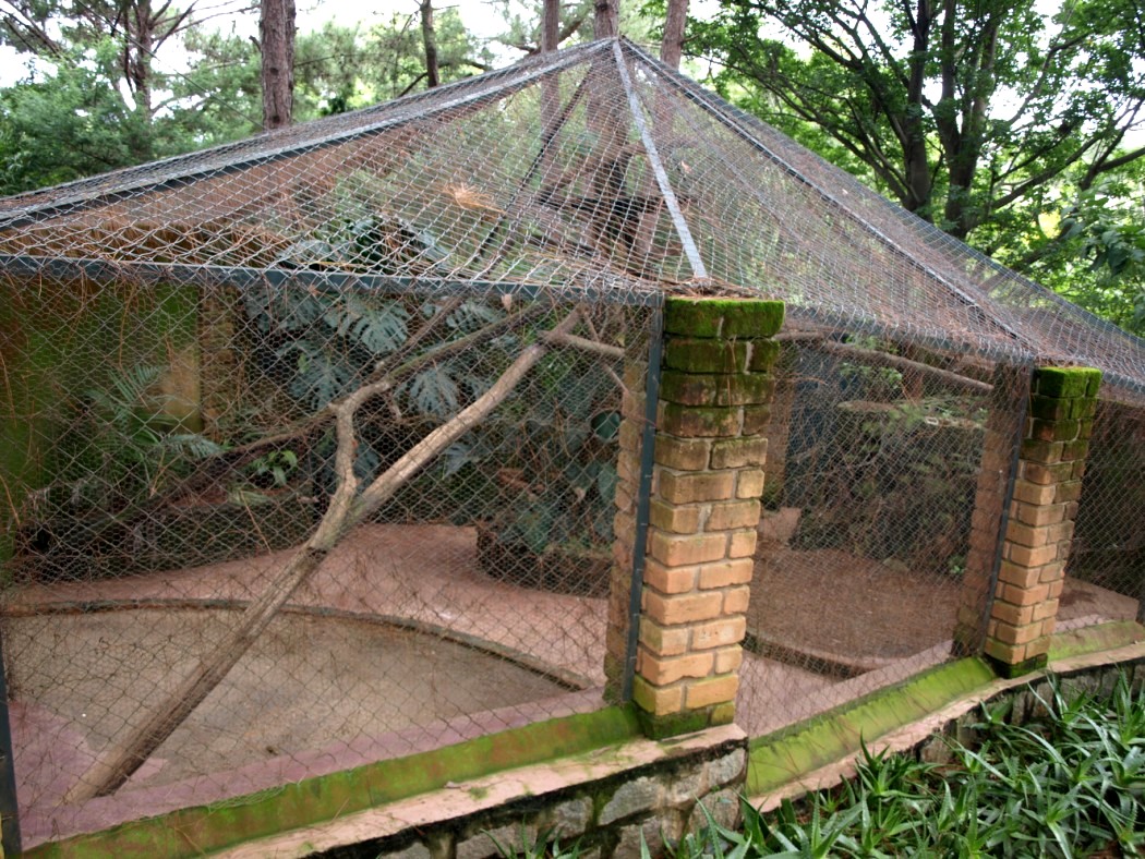 Croc Farm - Fossa exhibit