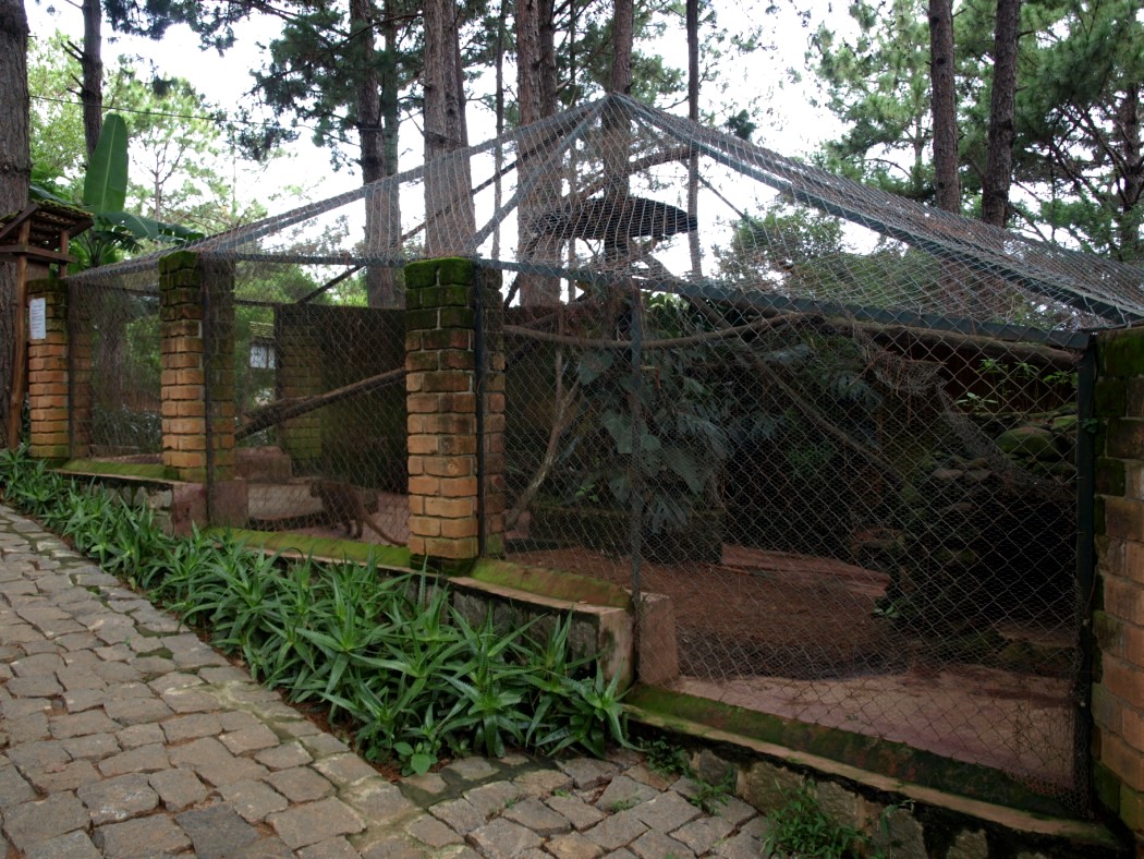 Croc Farm - Fossa exhibit
