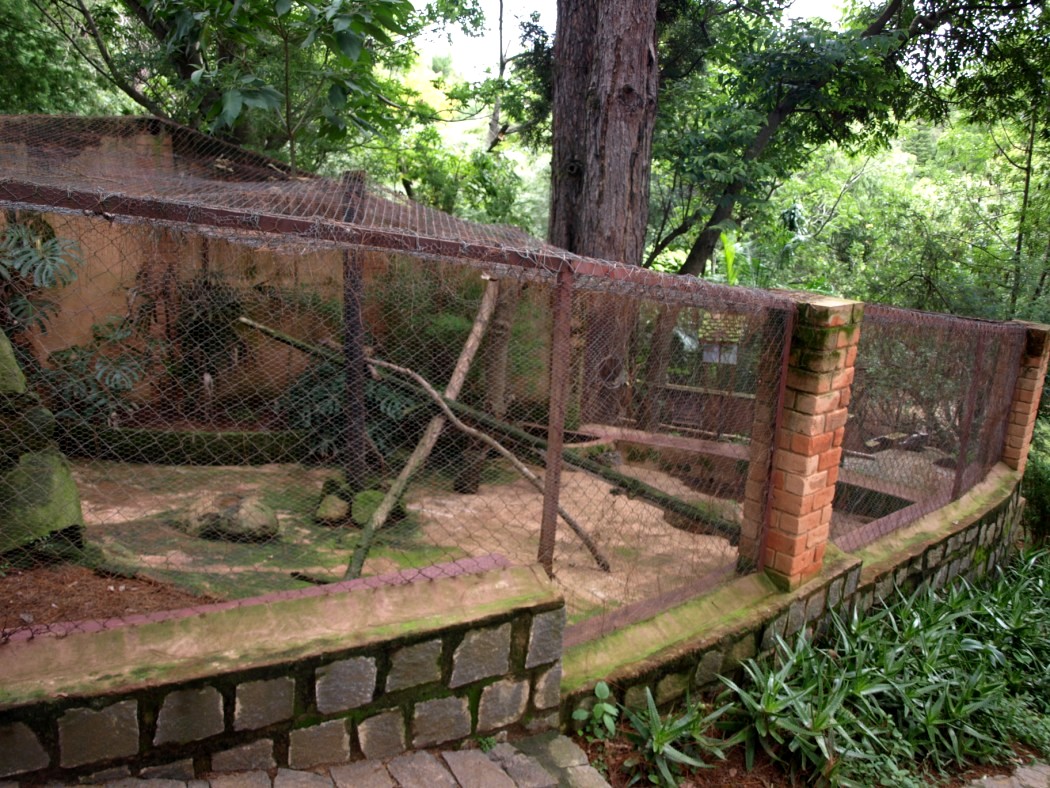 Croc Farm - Fossa exhibit