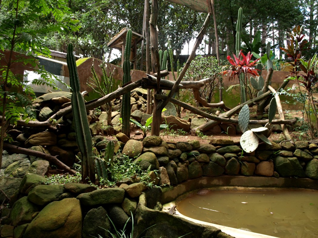 Croc Farm - Iguana exhibit