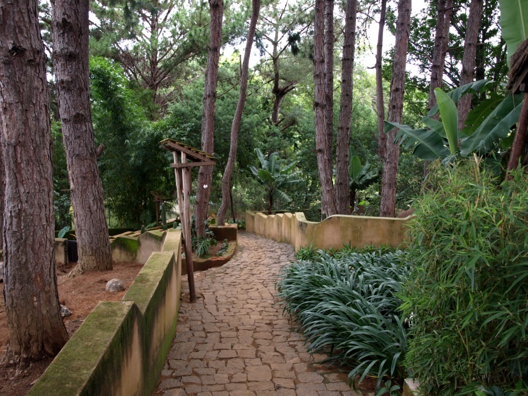 Croc Farm - Landscape