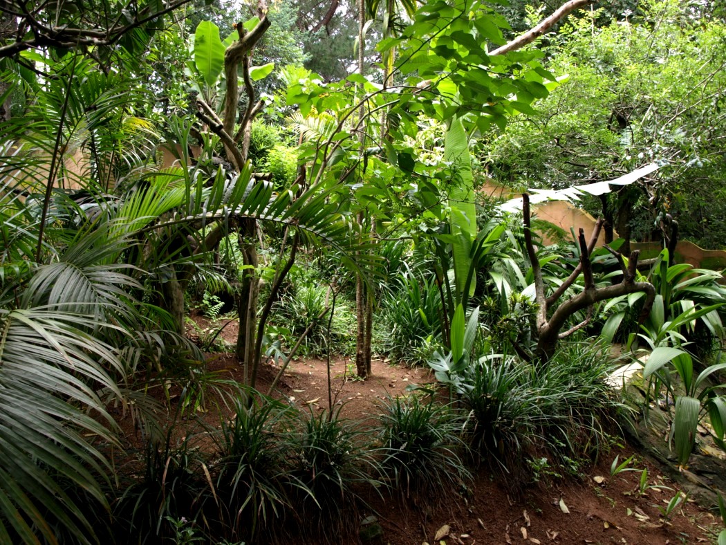 Croc Farm - Snake exhibit