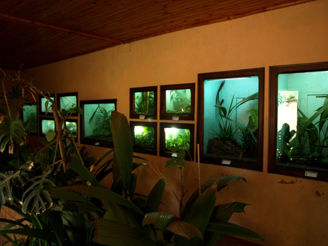 Croc Farm - Vivarium