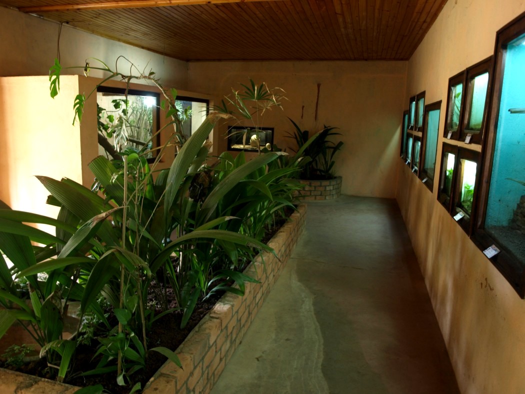 Croc Farm - Vivarium