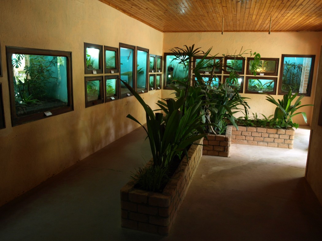 Croc Farm - Vivarium