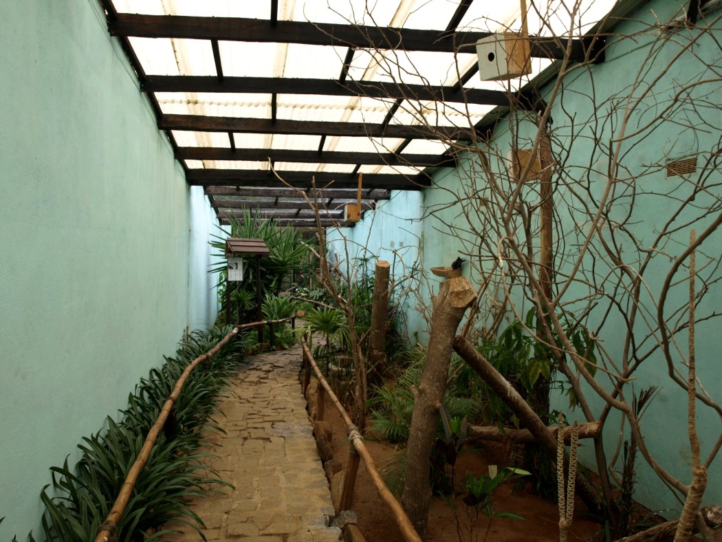 Croc Farm - Walkthrough aviary