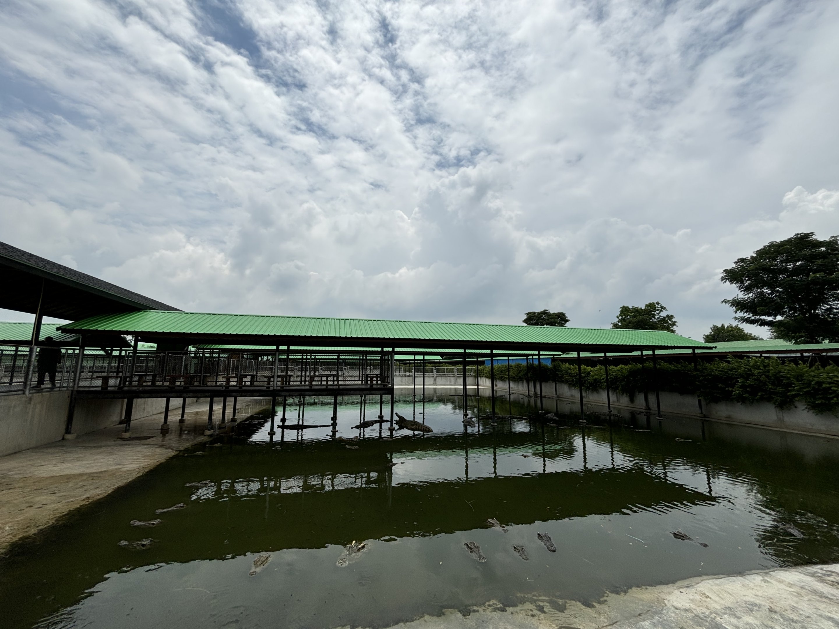 Croc Pools Zone - Lion Park