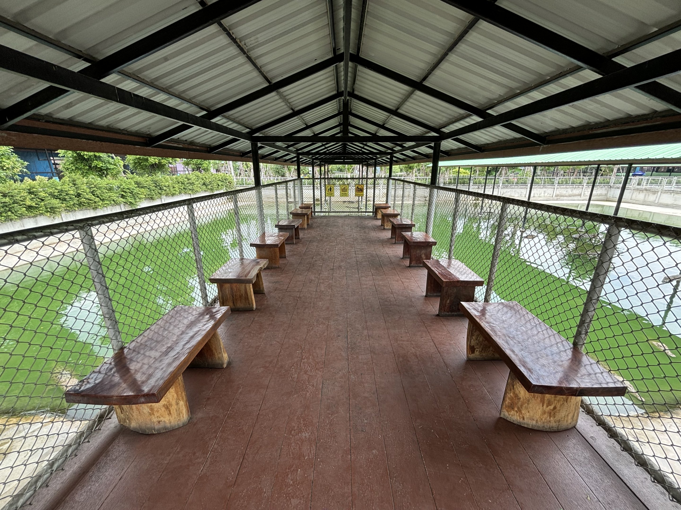 Croc Pools Zone - Lion Park