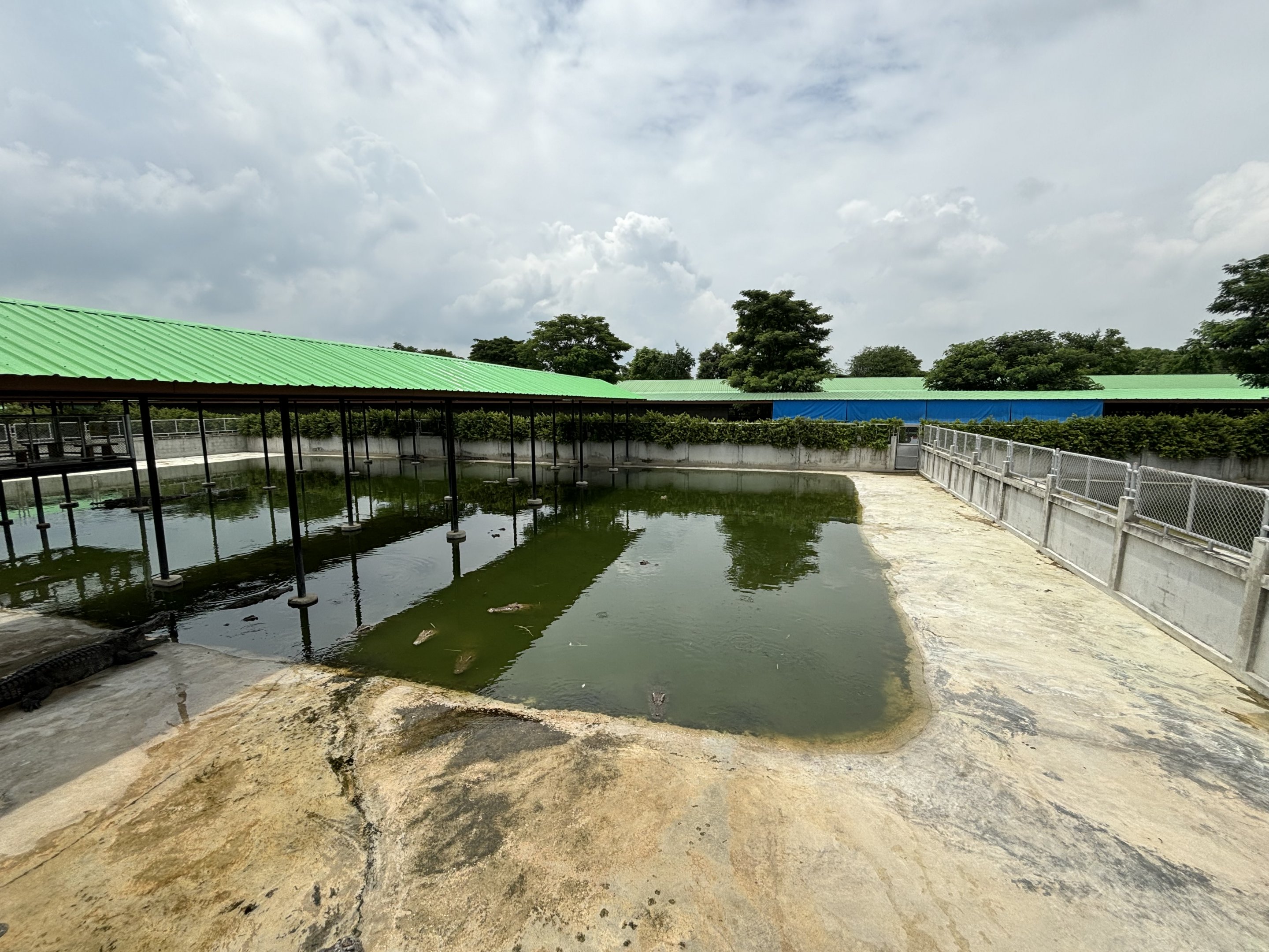 Croc Pools Zone - Lion Park