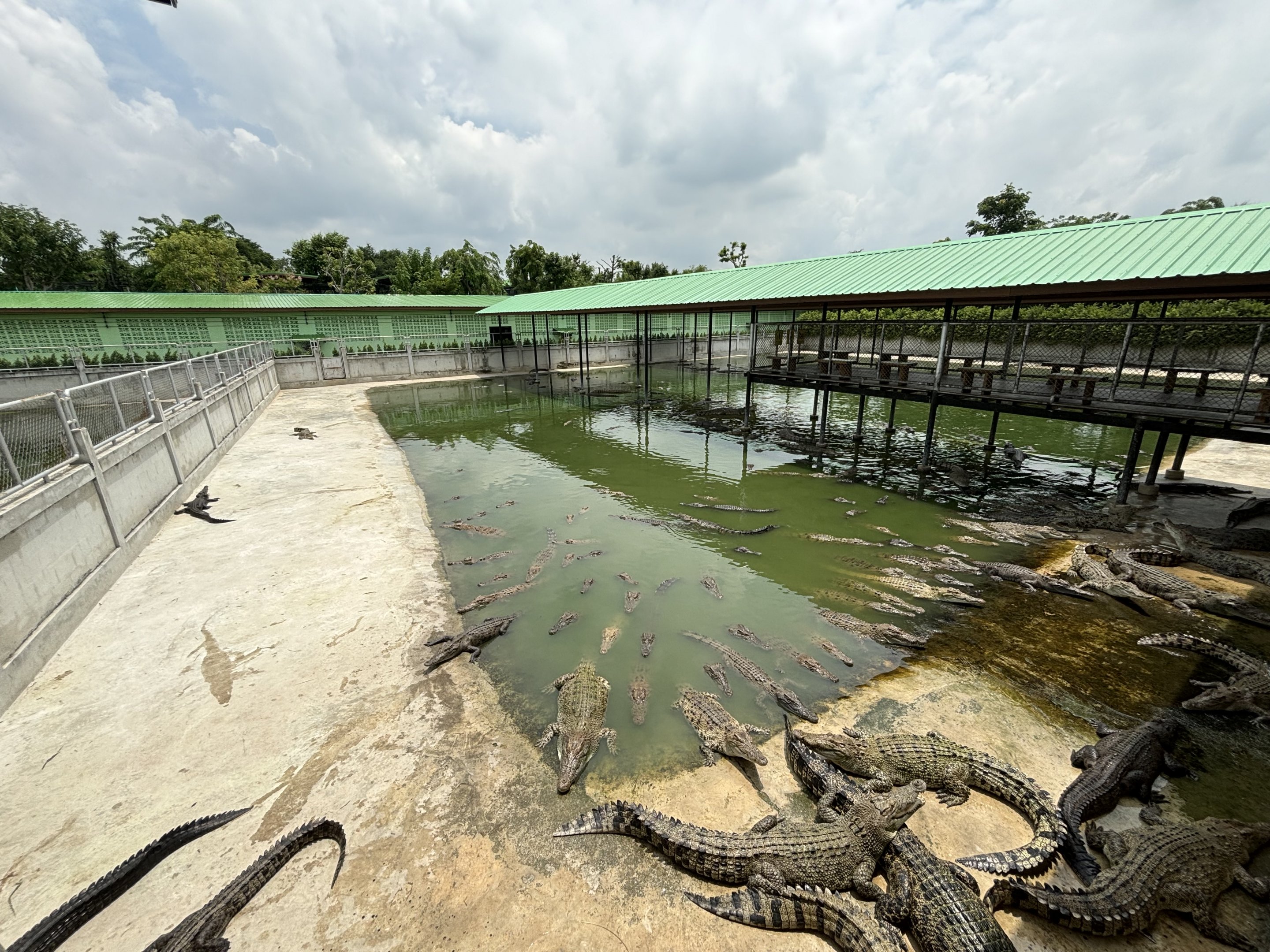 Croc Pools Zone - Lion Park
