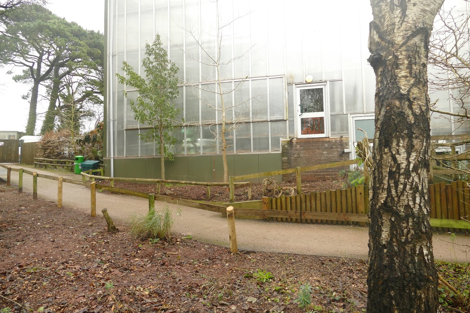 Croc Swamp, 22 December 2022