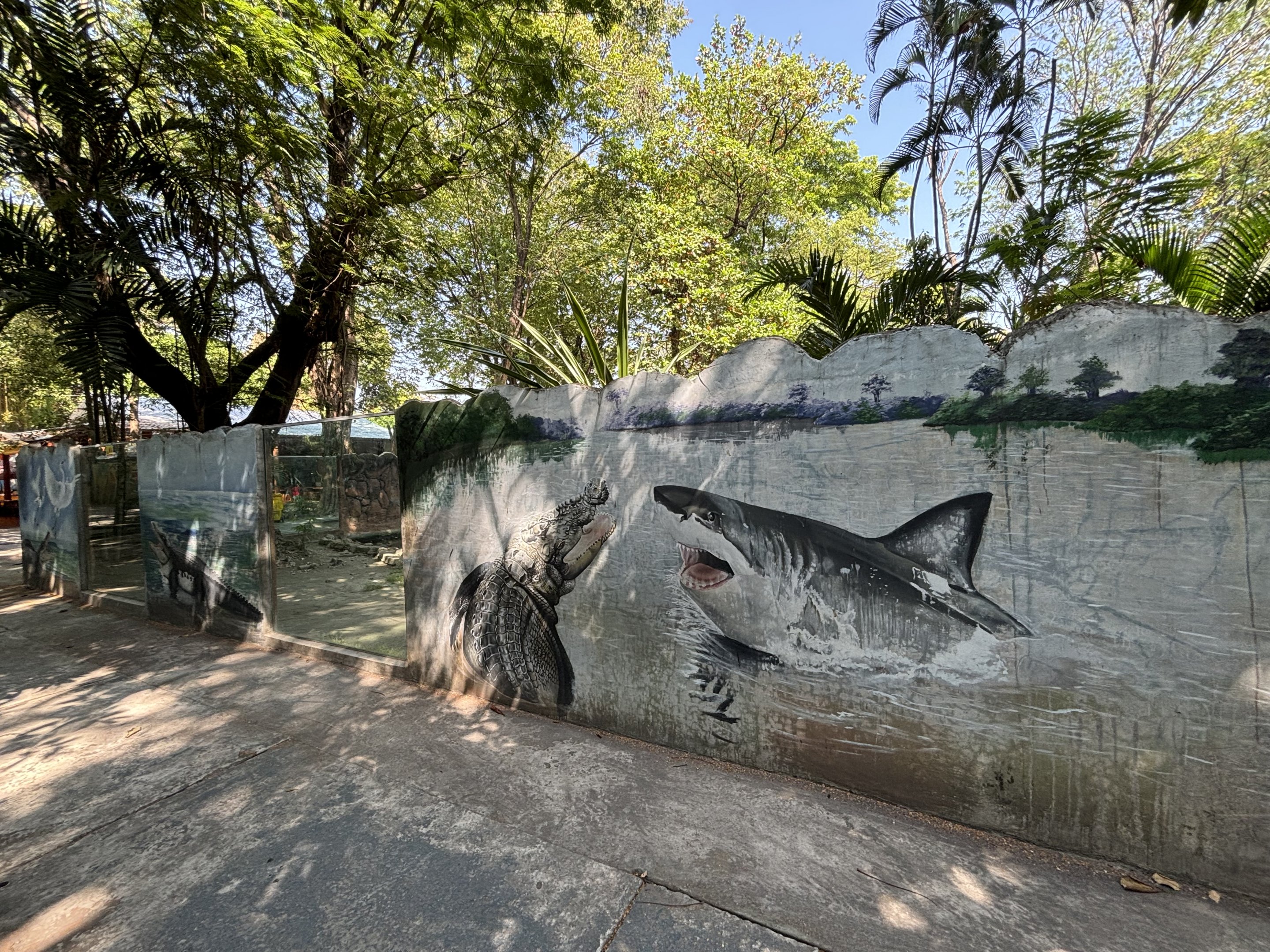 Croc v Shark Mural
