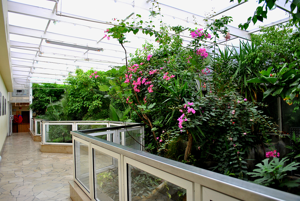 Croco House - internal exposure