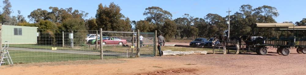 Crocodile and alligator house