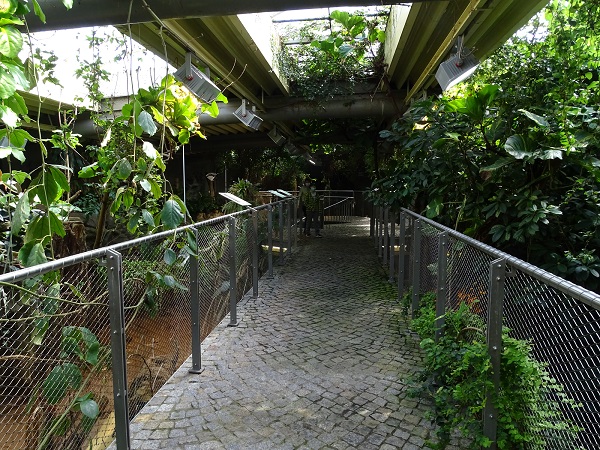 Crocodile (and giant otter) house (04/22)