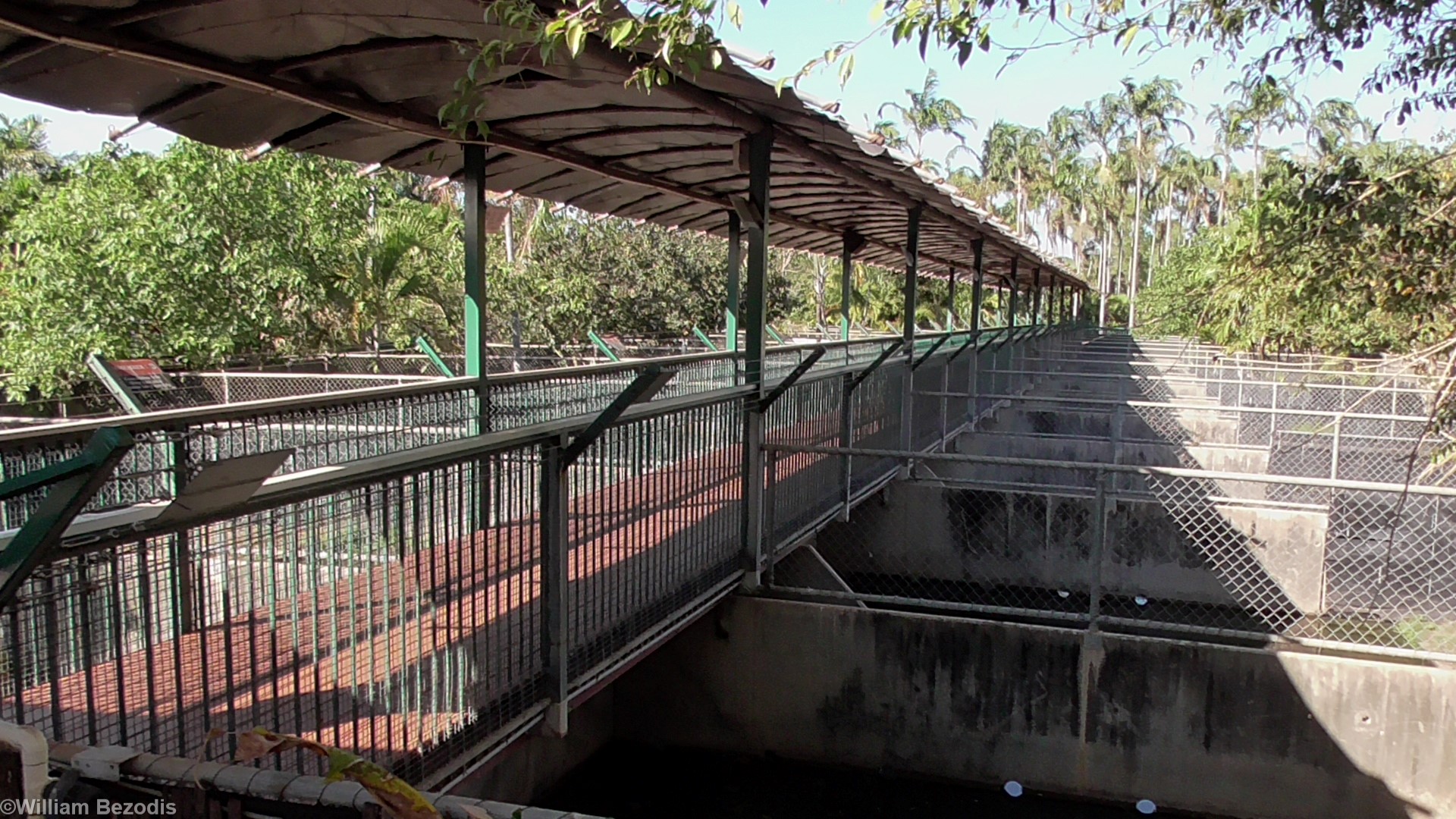 Crocodile Breeding Pens