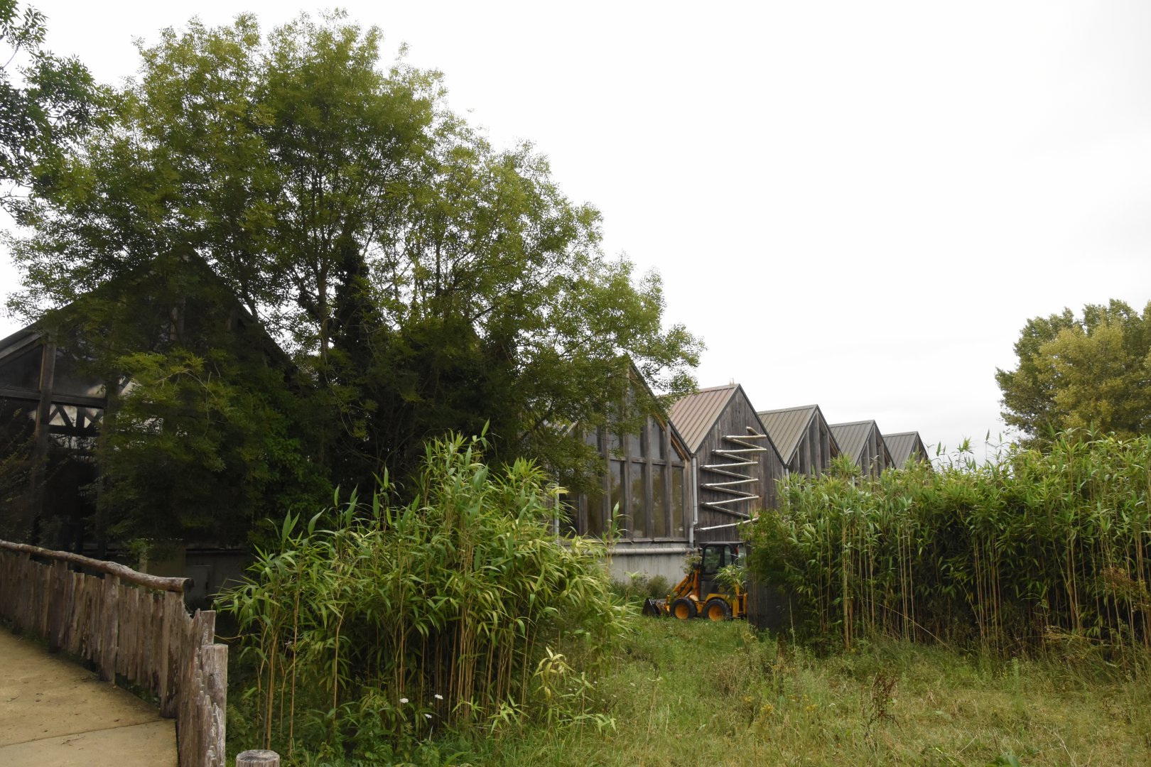 Crocodile building from outside