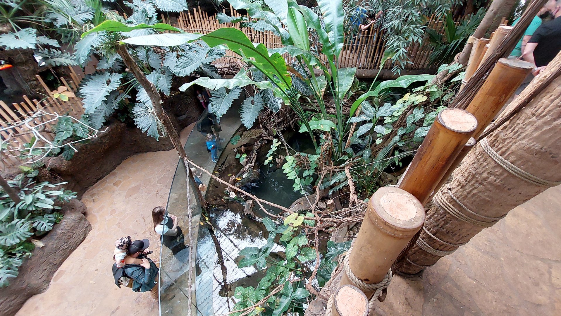 Crocodile cove- Left side view from bridge