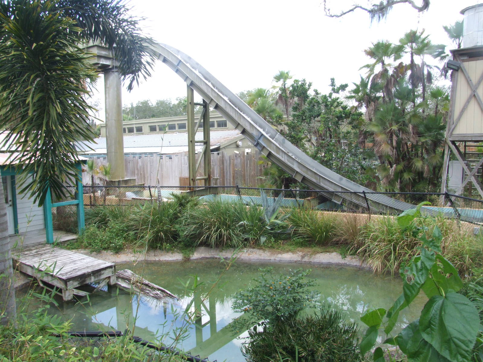 Crocodile Enclosure and Water Ride at Lowry Park, 13/10/13