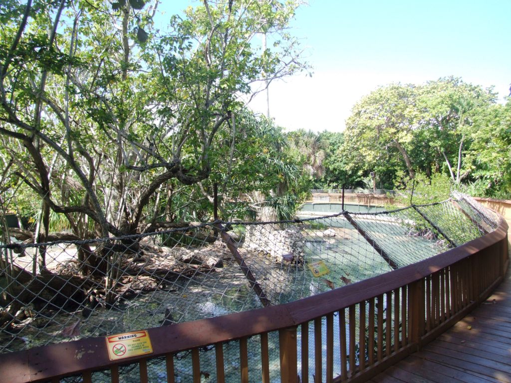 Crocodile Enclosure at Miami Seaquarium, 16/10/13