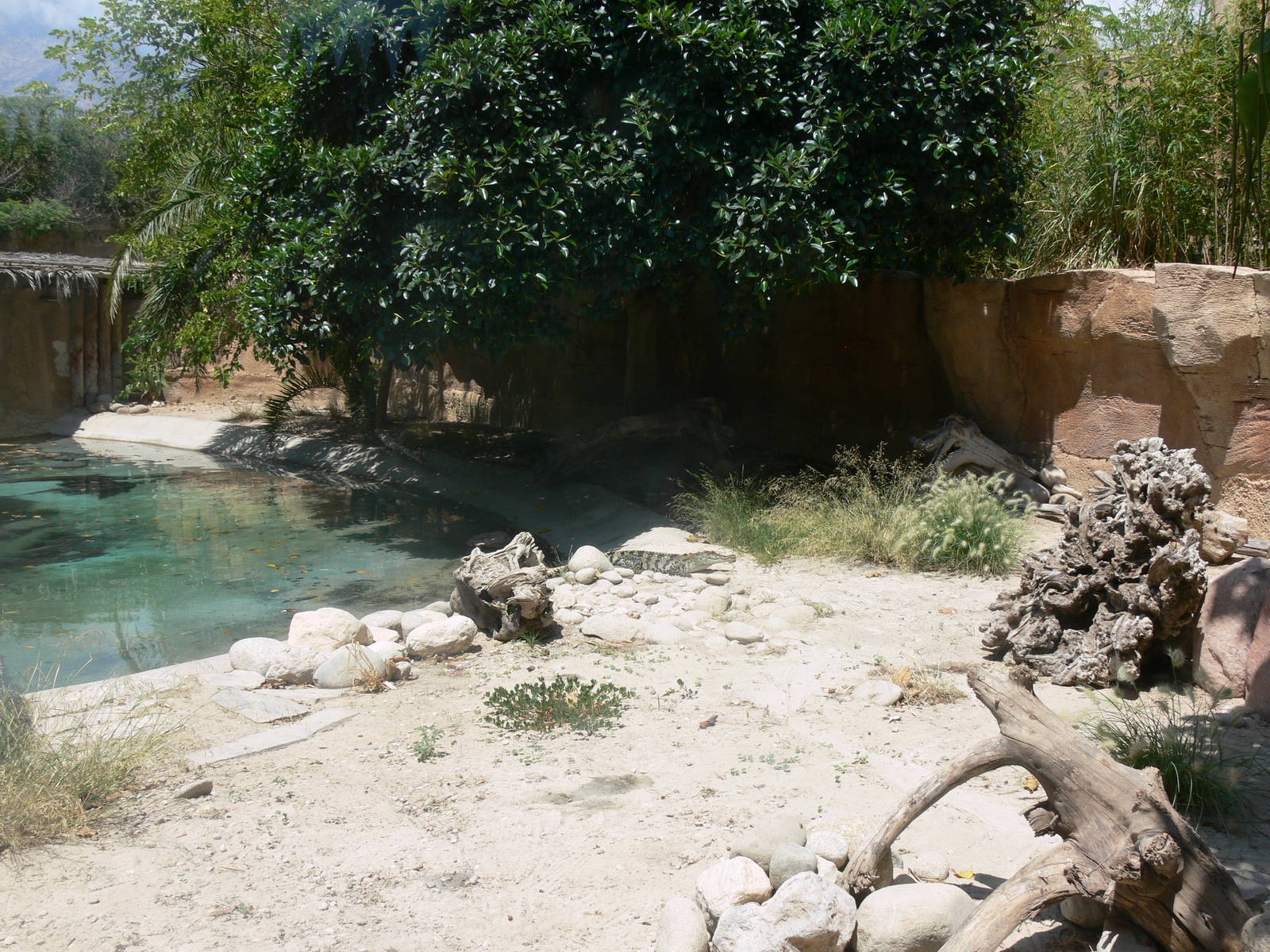 Crocodile Enclosure at Terra Natura, 03/08/14