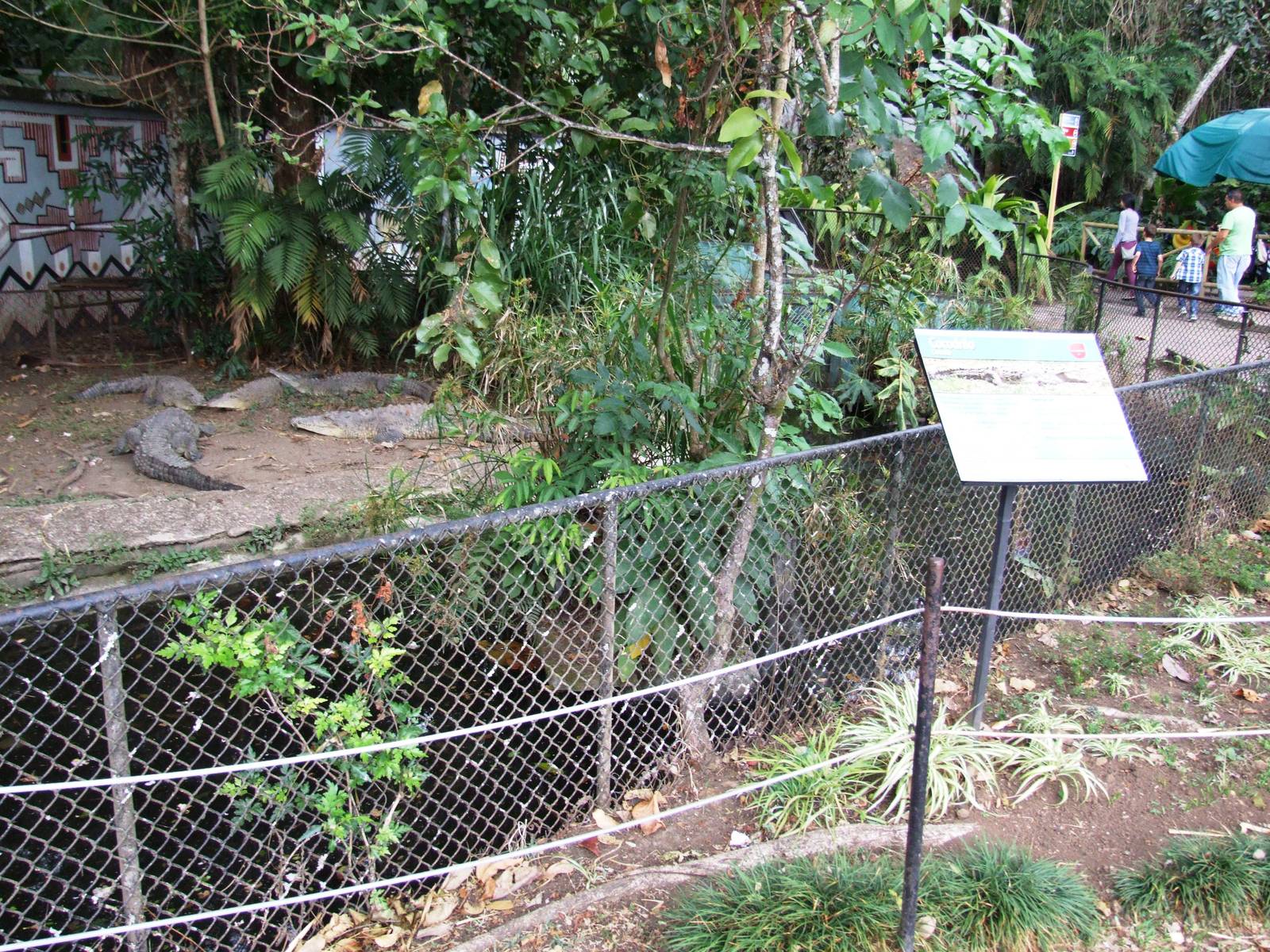 Crocodile Enclosure at Zoo Simon Bolivar, 12/04/14